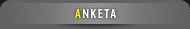 Anketa